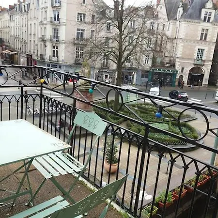 Arbre De Vie,hypercentre, Spacieux, Terrasse Vue Angers